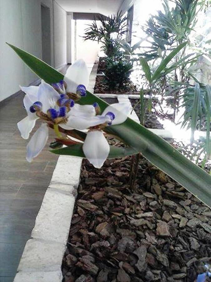 Hotel Luz Fronteira Extérieur photo
